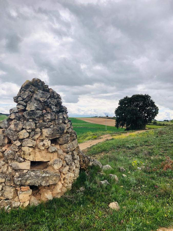 Apartamentos Ribera Del Duero Las Escuelas Vadocondes Zewnętrze zdjęcie