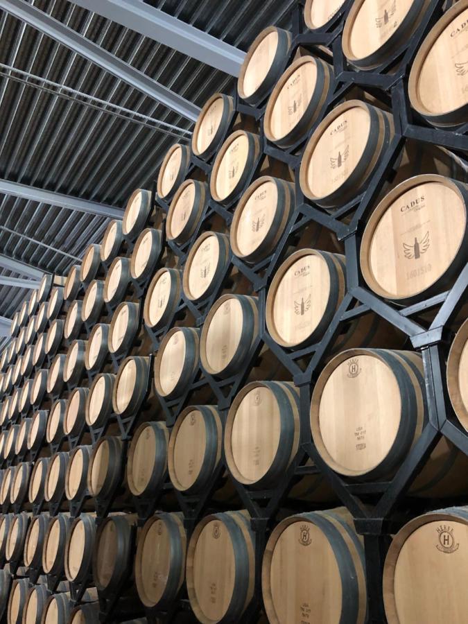 Apartamentos Ribera Del Duero Las Escuelas Vadocondes Zewnętrze zdjęcie